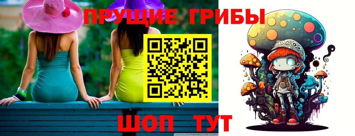 Вышний Волочёк  Галлюциногенные грибы MAGIC MUSHROOMS  Вход с VPN 